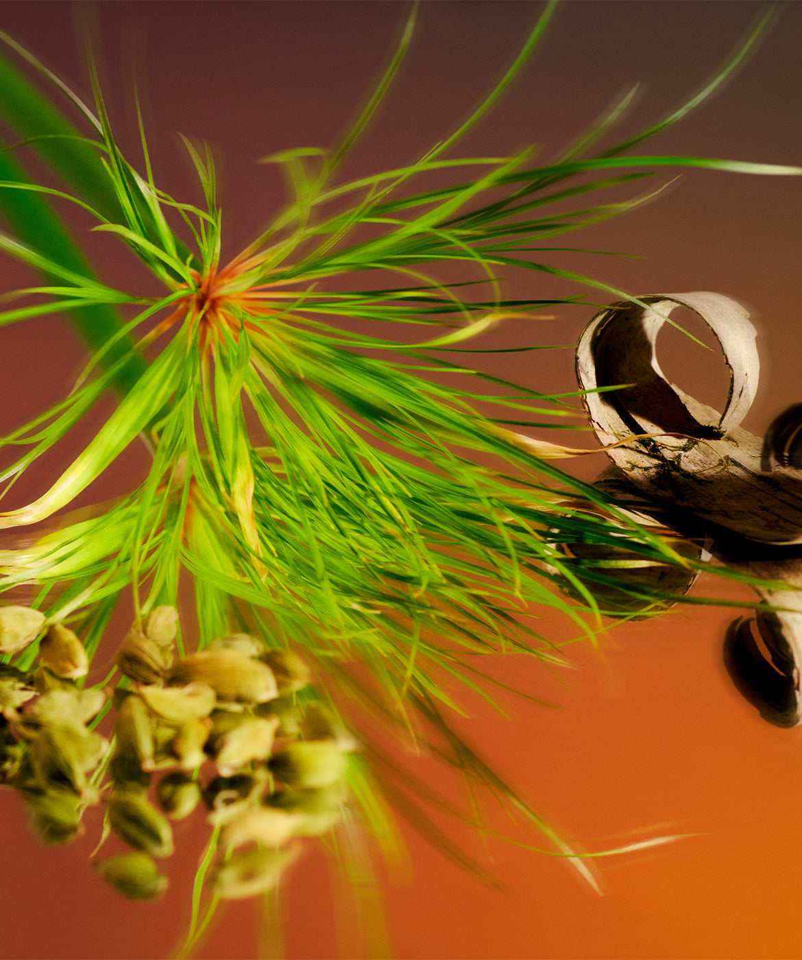 Santal™ - 168极速赛车官方开奖平台Inc.