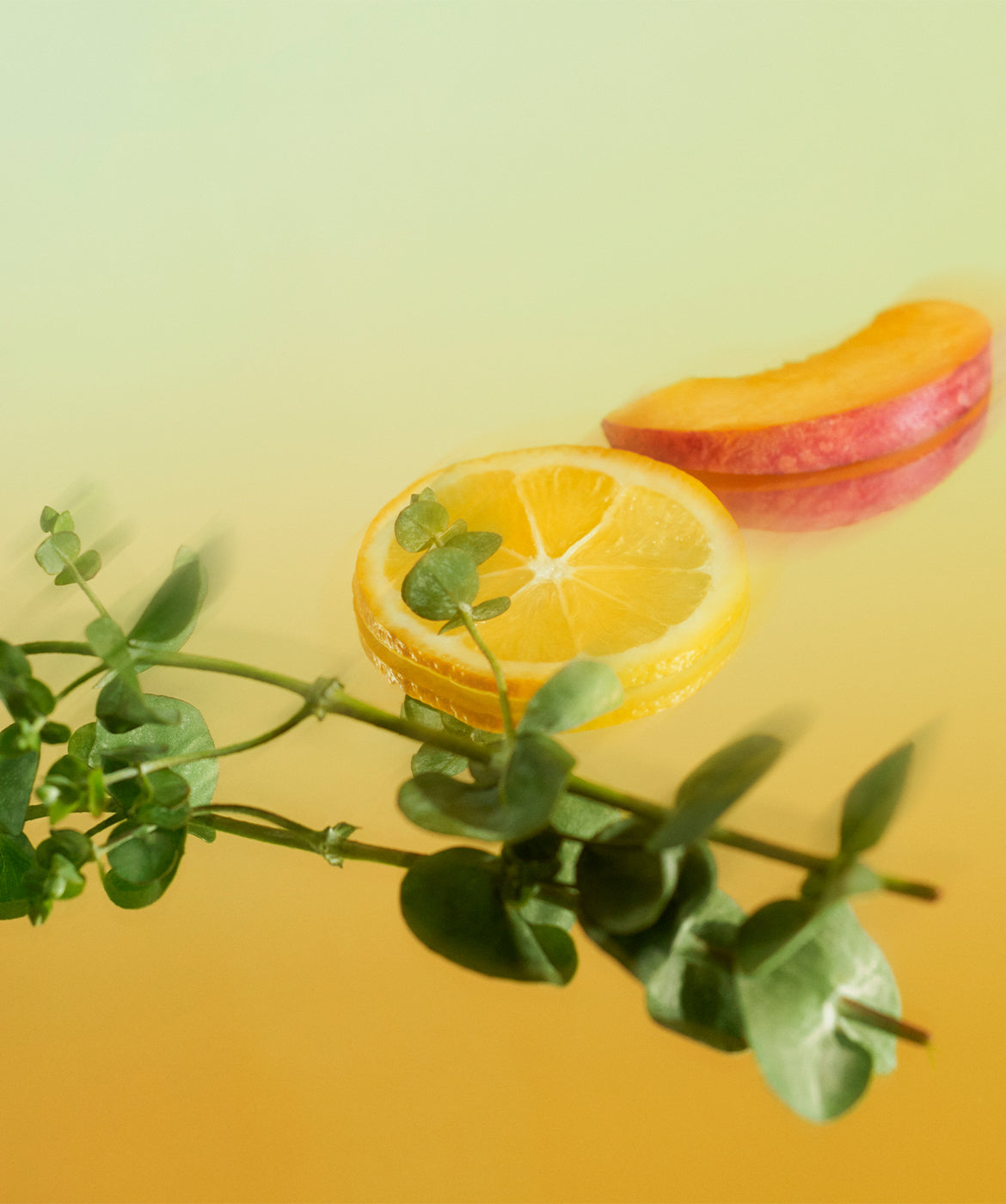 The Hotel™ - 168极速赛车官方开奖平台Inc.