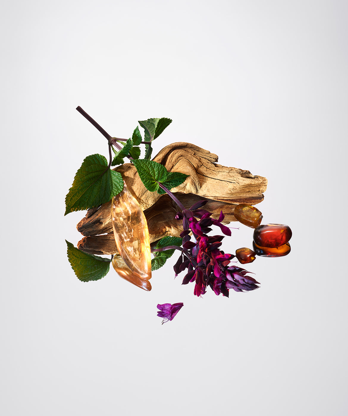 Palo Santo & Amber™  - AromaTech Inc.