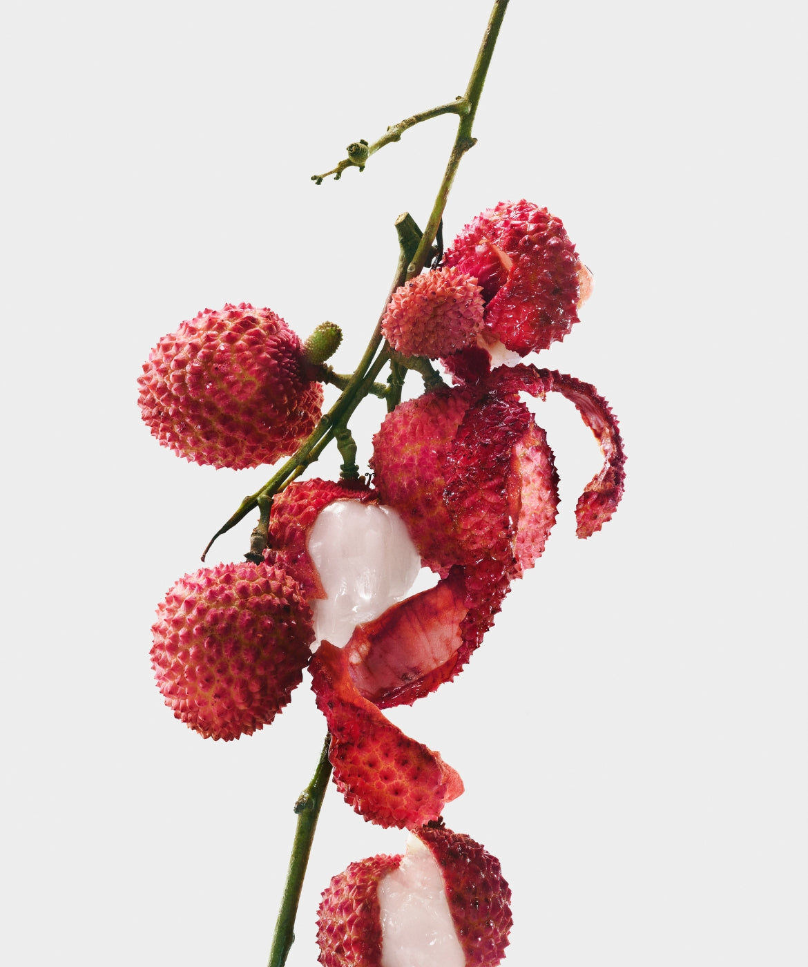 Ever After™ - AromaTech Inc.