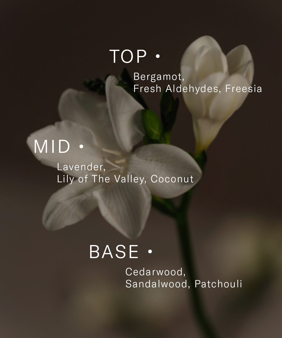 Oprah’s Favorite Things 2024 Home Scenting Gift Set - AromaTech Inc.