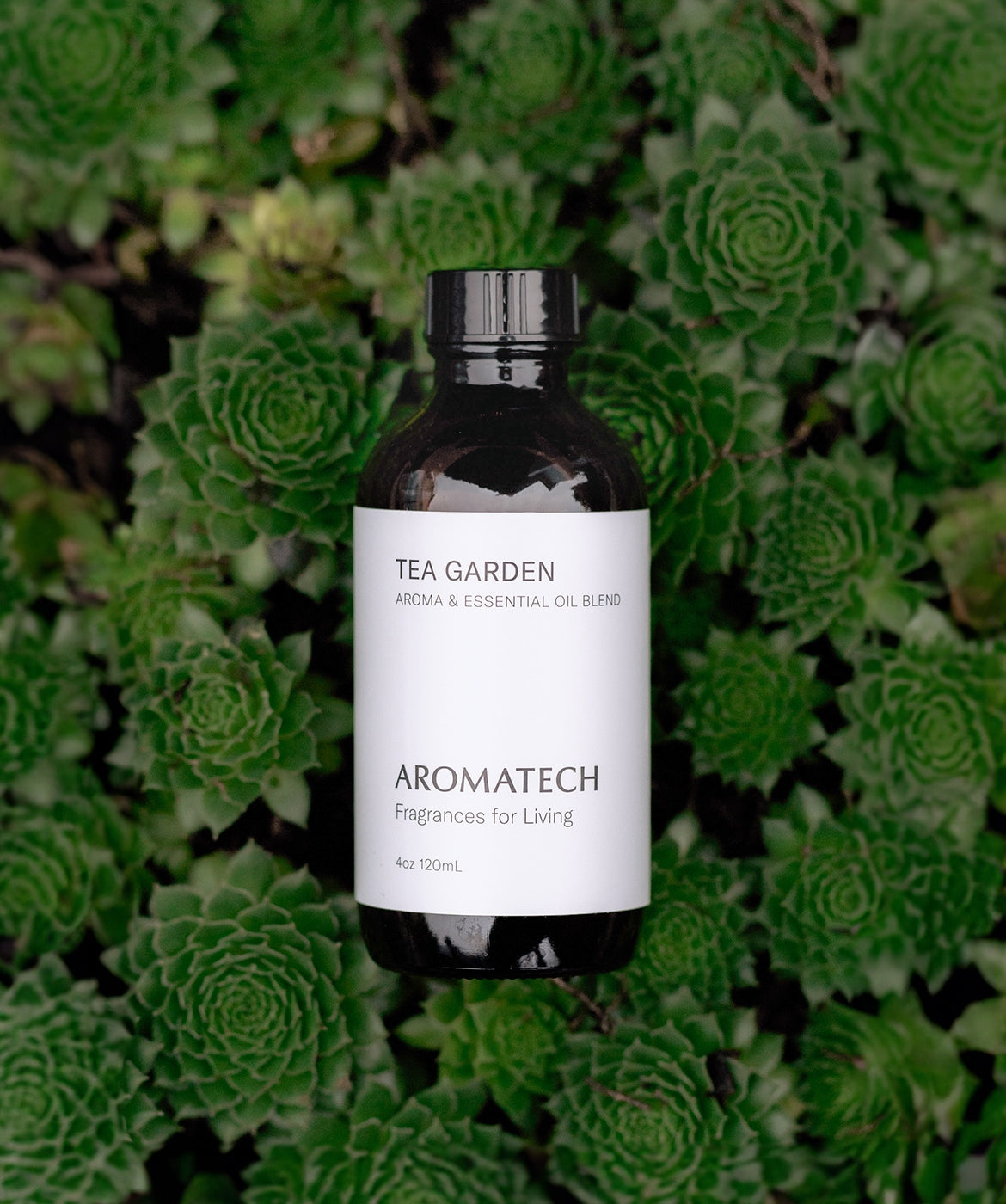 Tea Garden™ - AromaTech Inc.