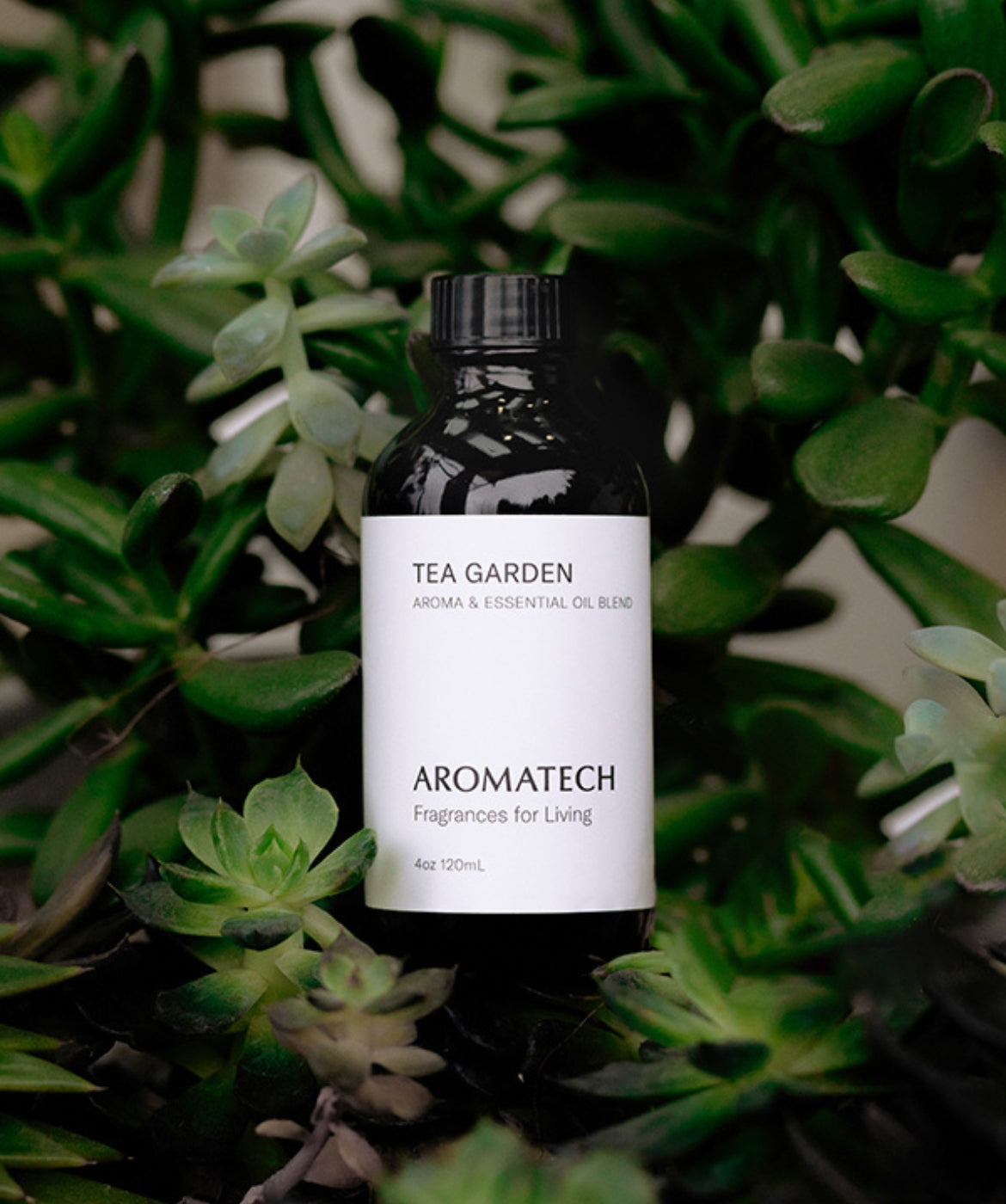 Tea Garden™  - AromaTech Inc.
