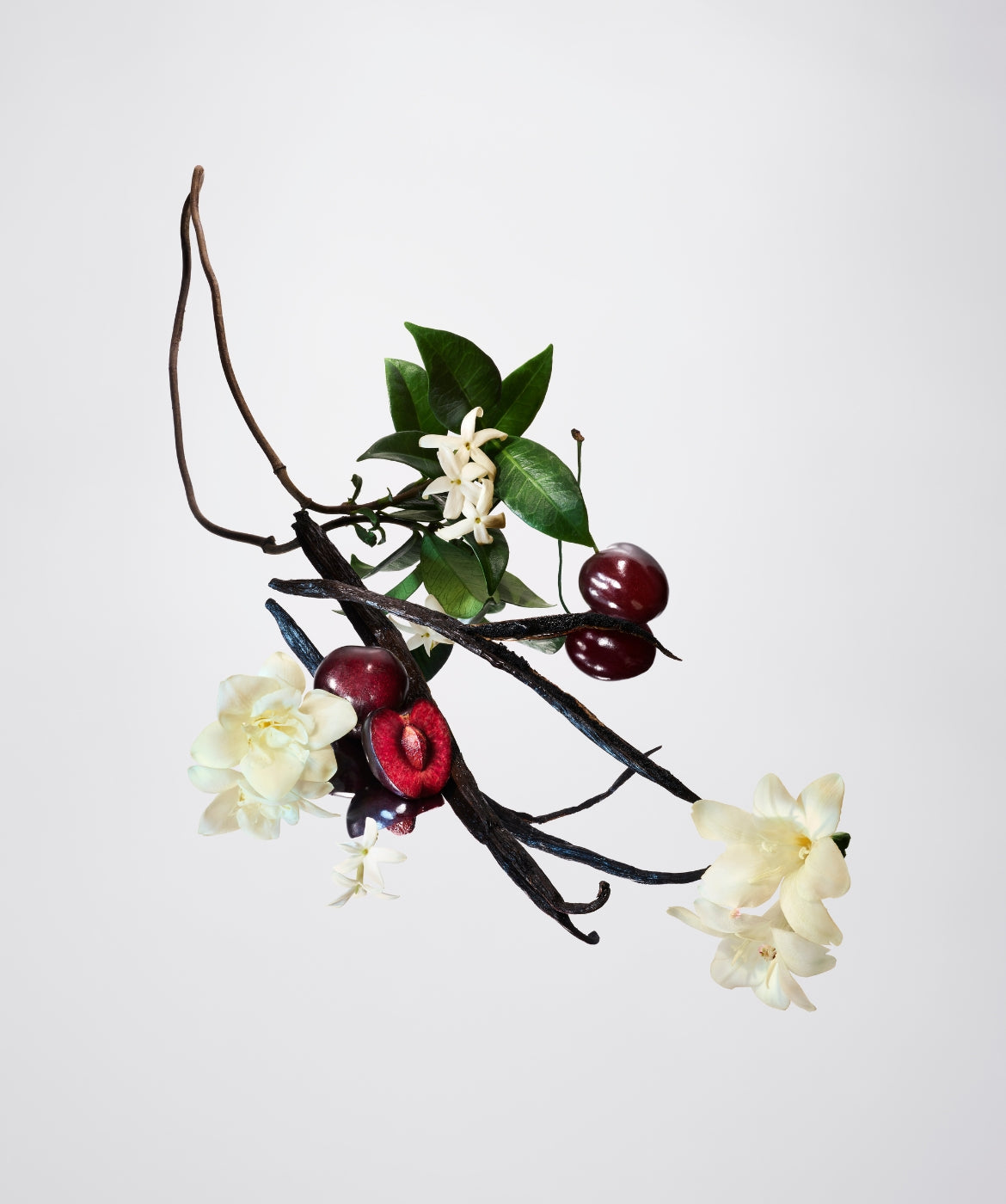 The Vanilla Collection - AromaTech Inc.