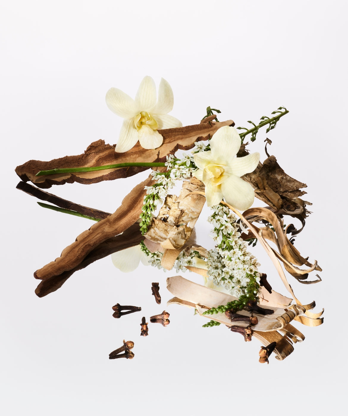 The Vanilla Collection - AromaTech Inc.