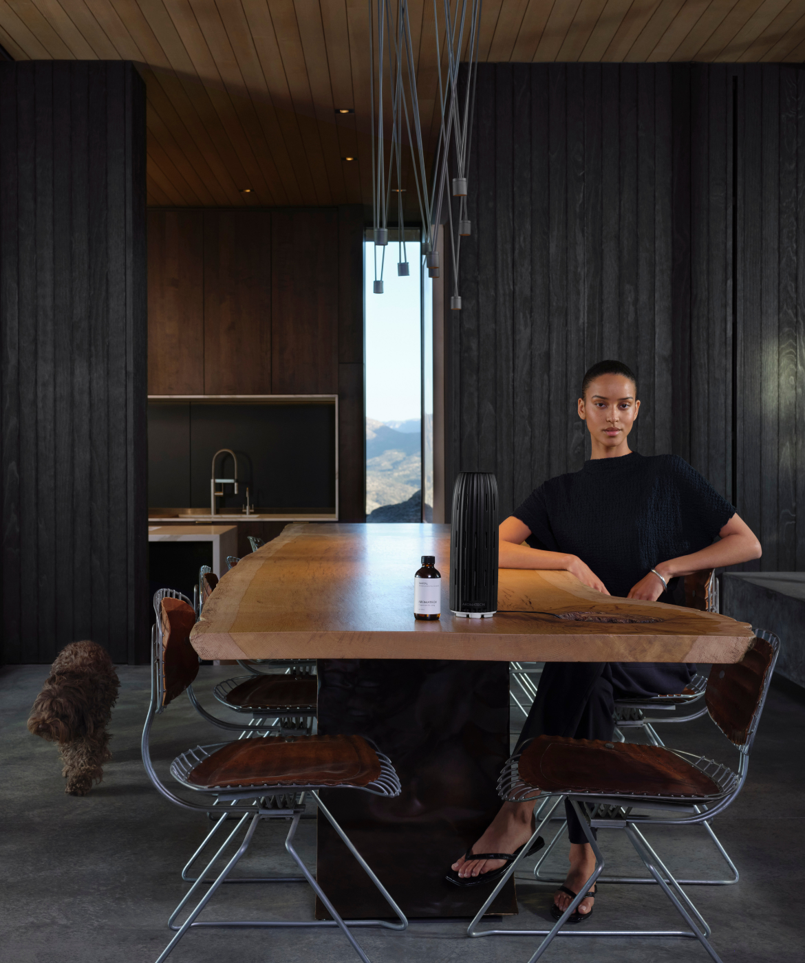 Ambience™ (Pre-order Test) - AromaTech Inc.