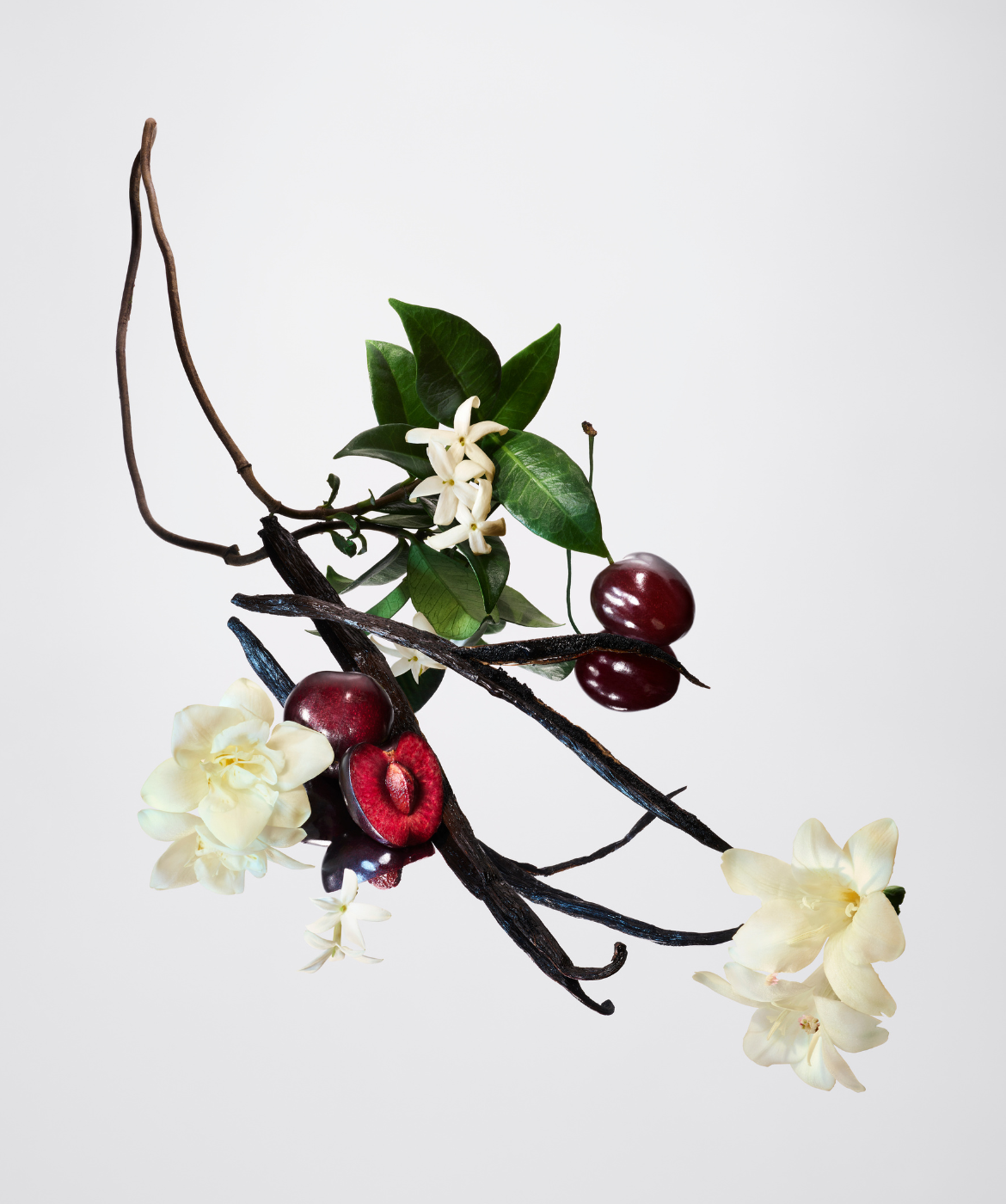 Vanilla Night™ - AromaTech Inc.